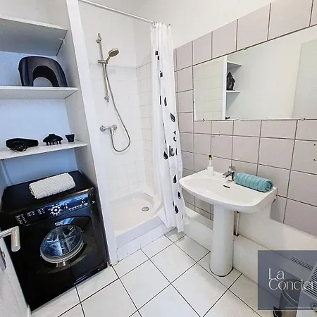 Le Carmélite - Futuroscope - Proche Gare - Laconciergerie * Poitiers