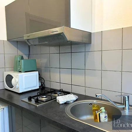 Le Carmélite - Futuroscope - Proche Gare - Laconciergerie * Poitiers