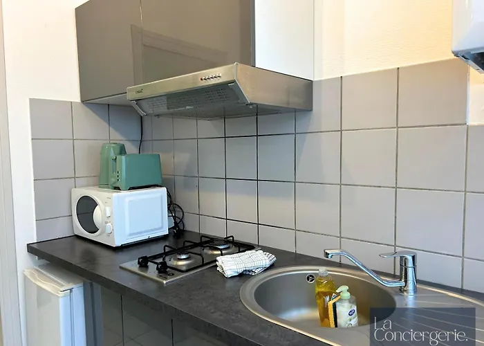 Le Carmélite - Futuroscope - Proche Gare - Laconciergerie * Poitiers